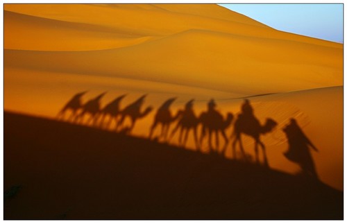http://www.noisiamolarivoluzione.com/wp-content/uploads/2009/05/sahara_desert.jpg