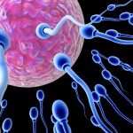 Quando inizia la vita?